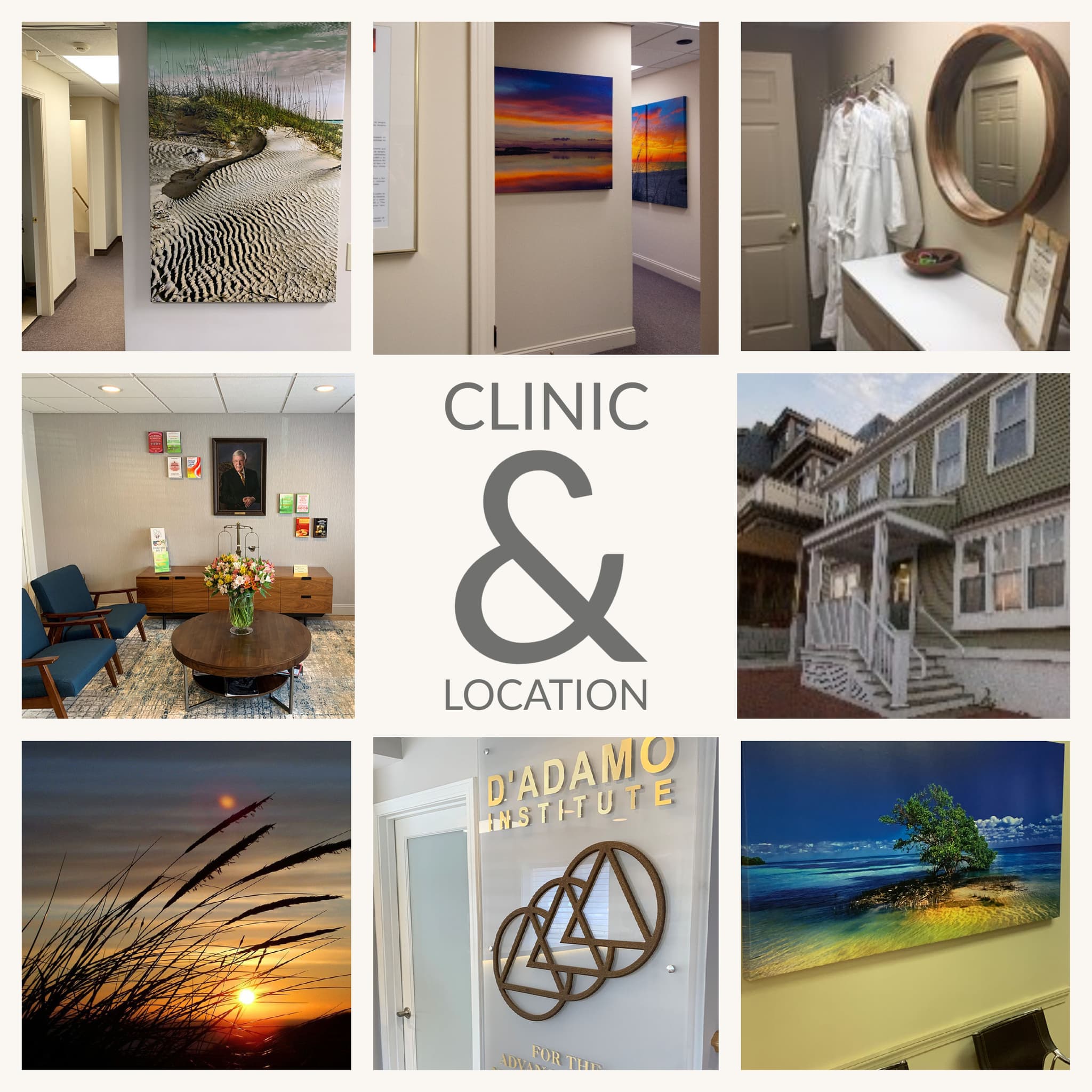 The D'Adamo Institute