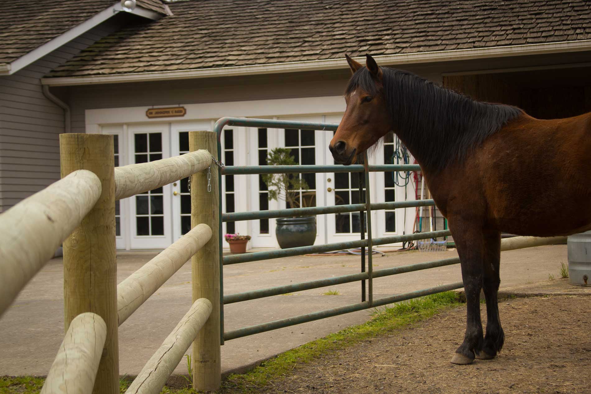 Carriage House Medicine