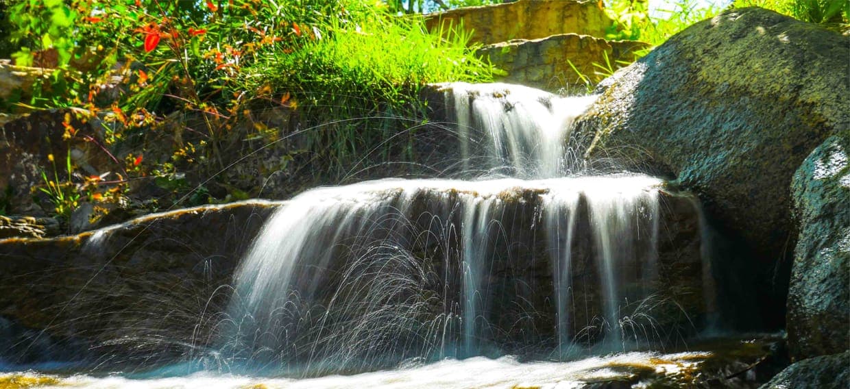 Reno Integrative Medical Center