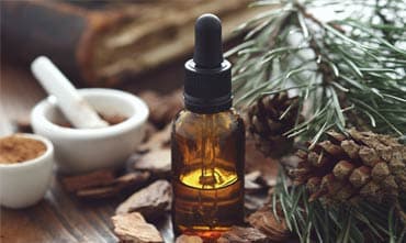 Whole Health Chicago